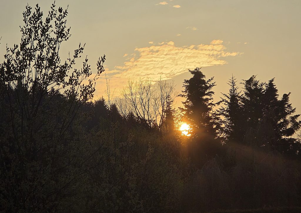 Tymbark, fotki przed zachodem słońca