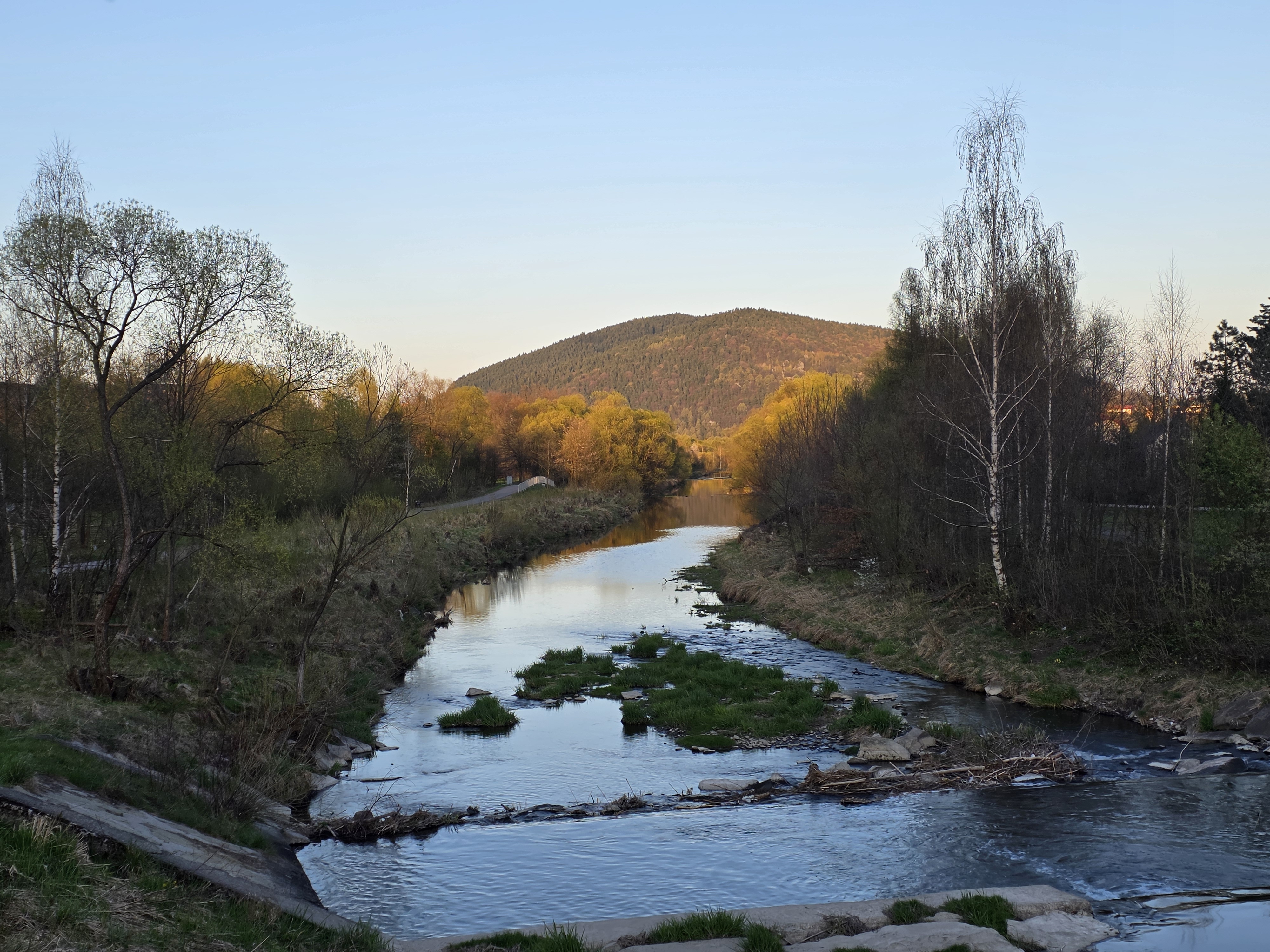 Dla odmiany, Paproć widziana z Podłopienia