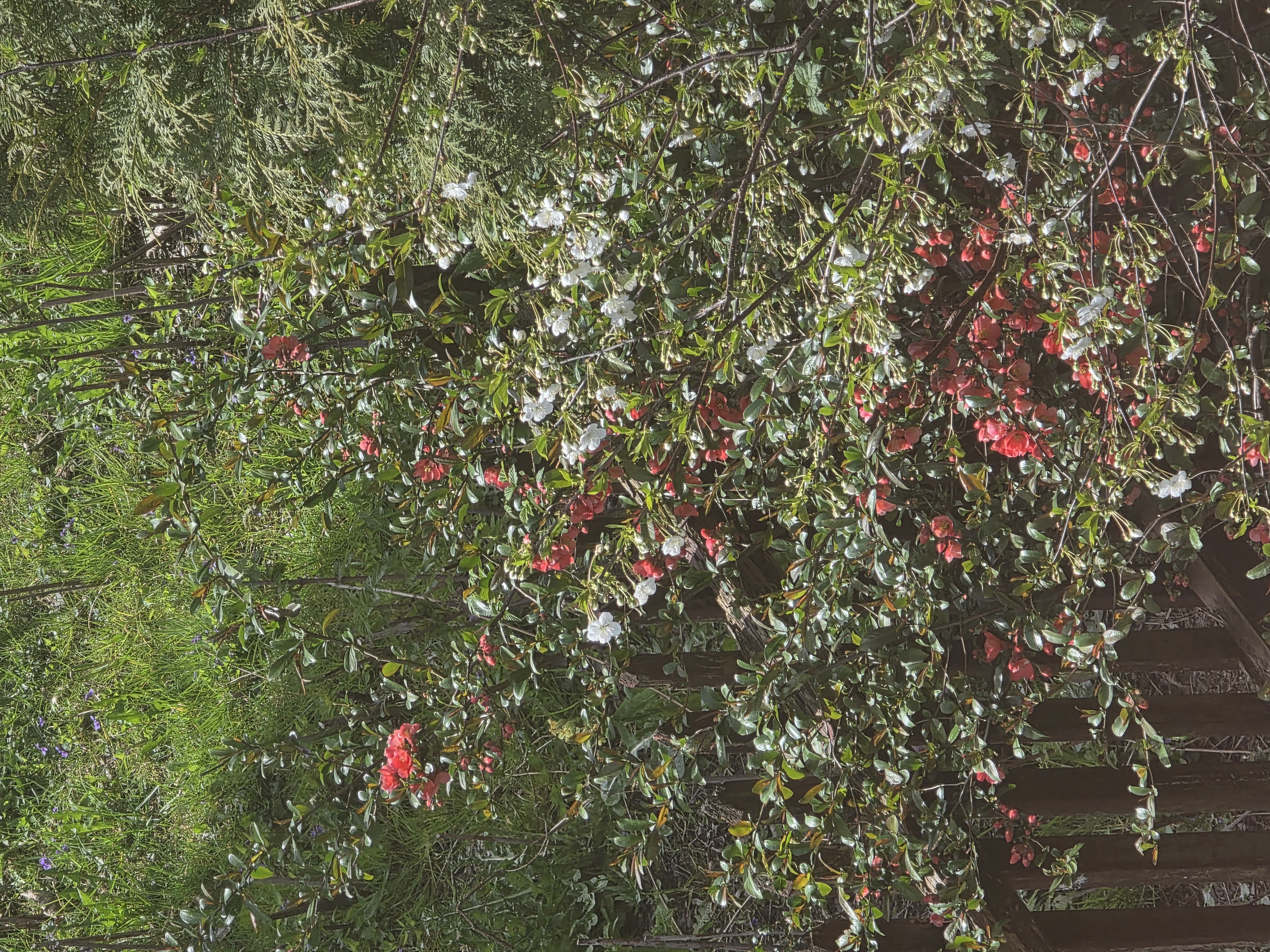 „Kiedy Marek przypieka, człek jeszcze na ziąb ponarzeka” – przysłowie dnia (niestety)