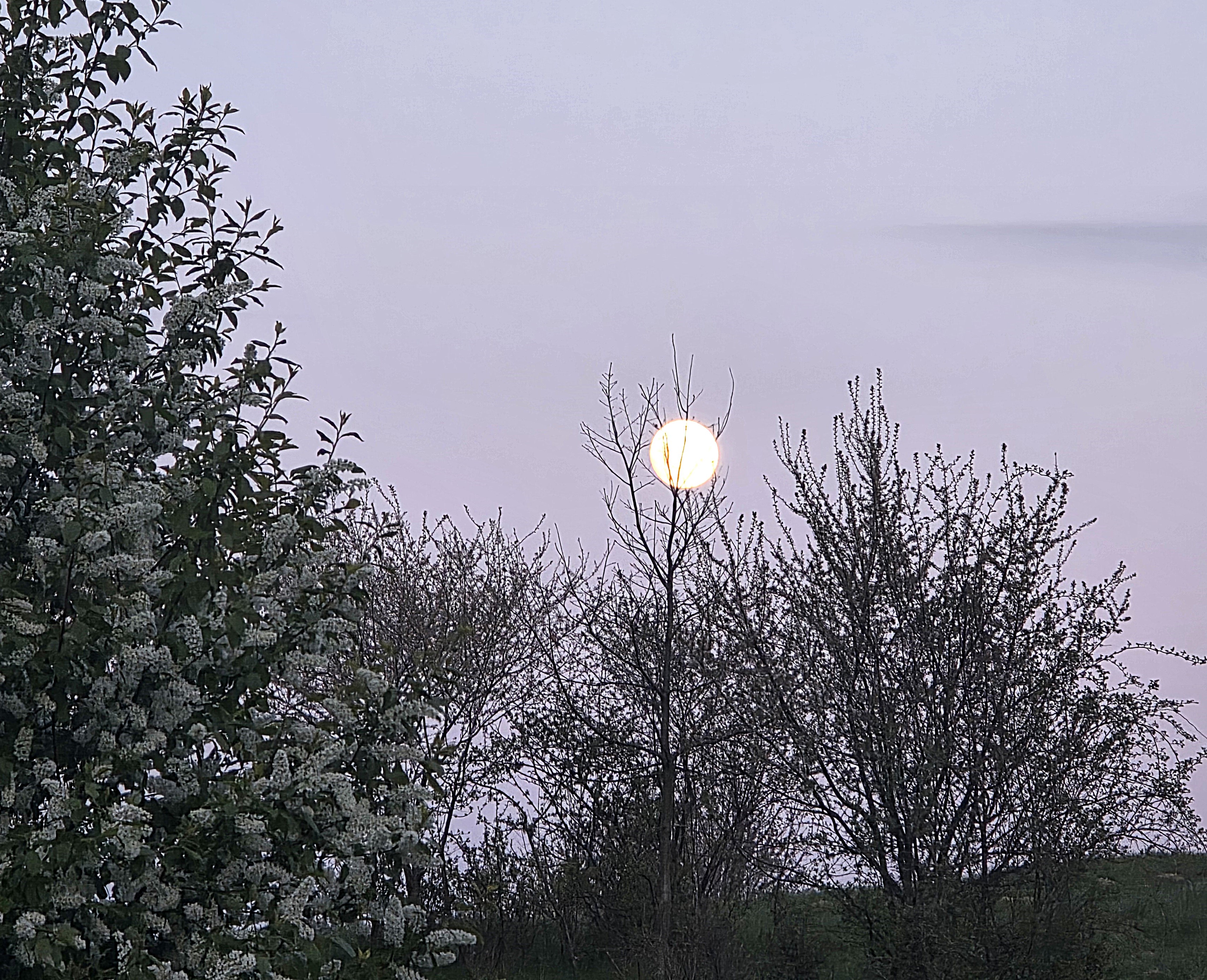 Prawie pełnia, pełna będzie jutro, pierwszego maja