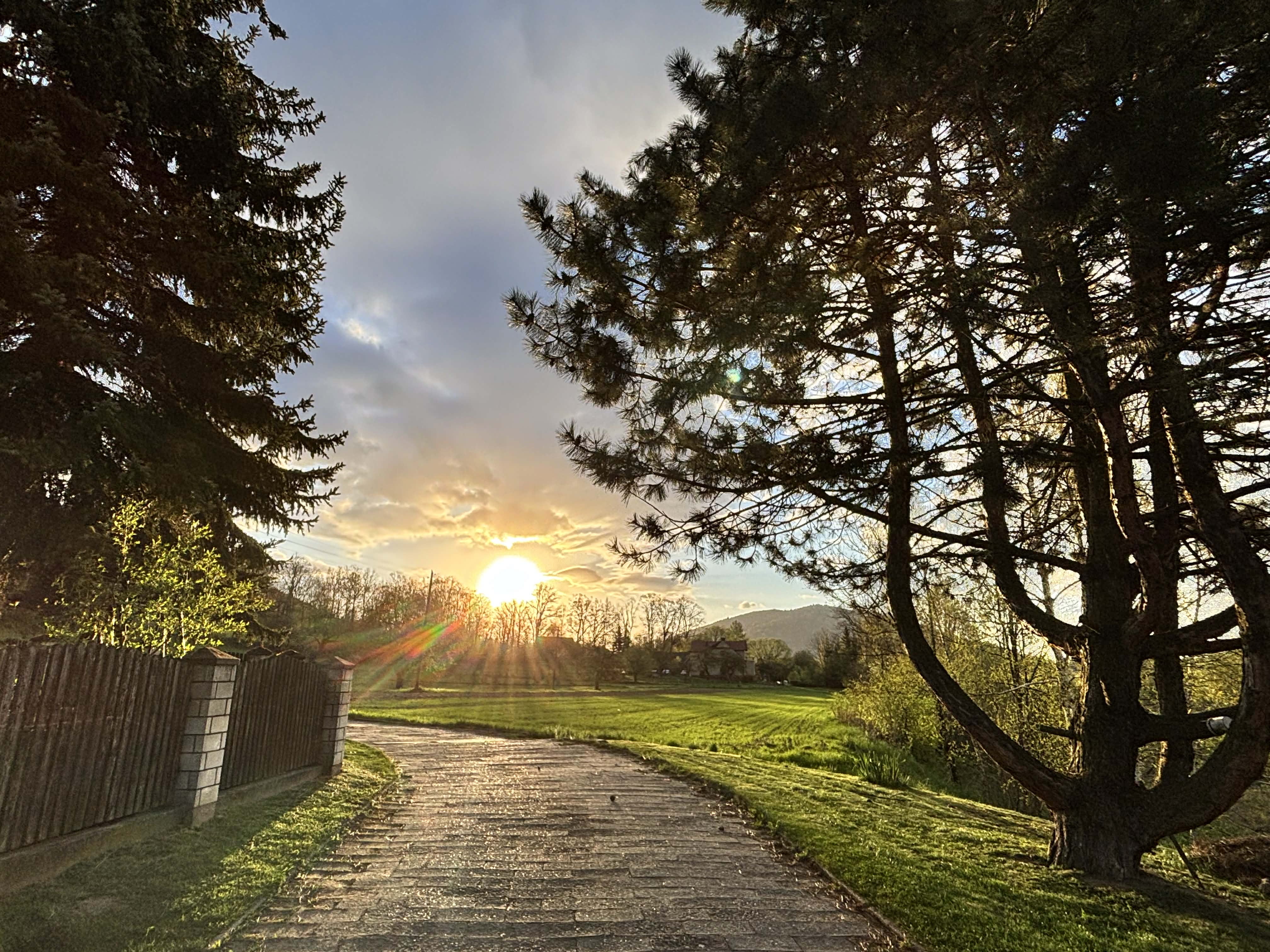 Niedzielny, popołudniowy, spacer…