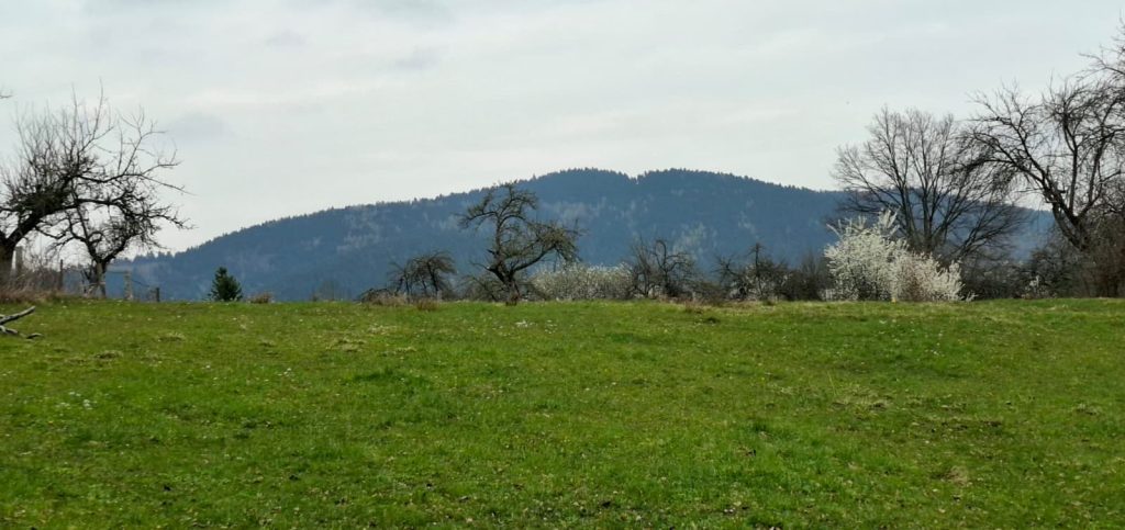 Zęzów widziany od strony Podłopienia