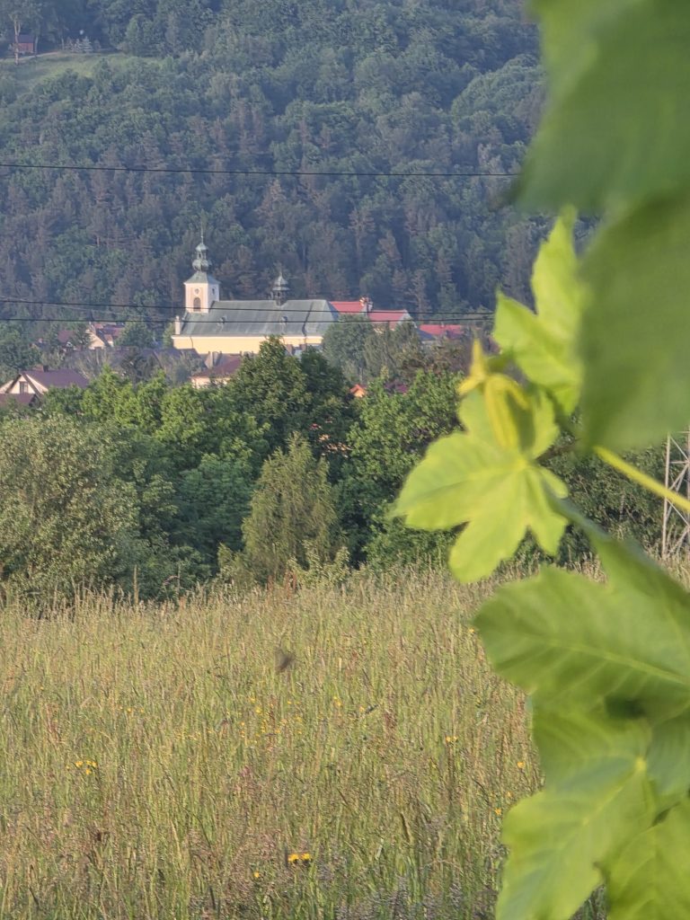 Ostatni dzień maja 2026