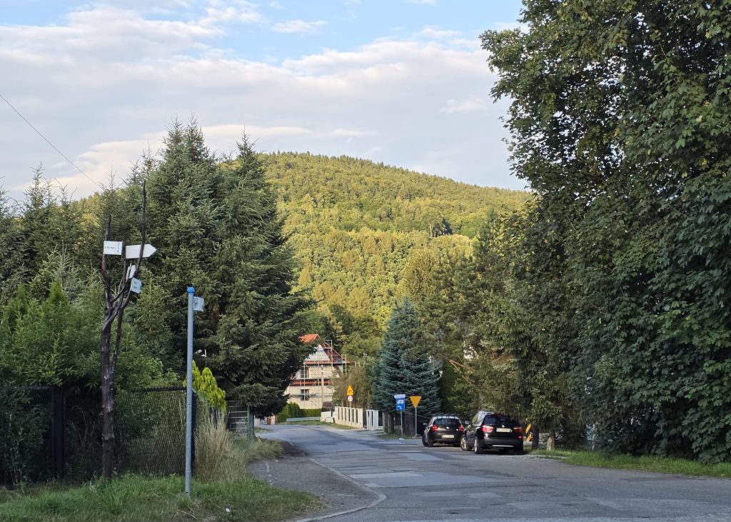 Fotka z Tymbarku, kierunek os.Trawniki