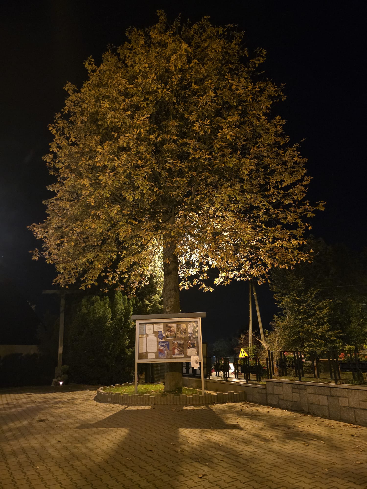 Wieczorową porą