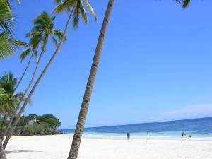 Bohol_Panglao_Beach