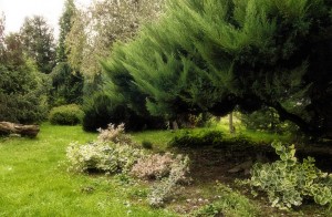jesienne ogrody  (1)